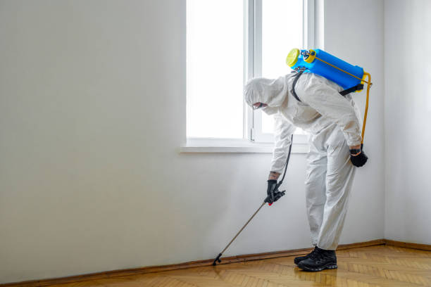 Best Mosquito Control Services  in Silver Hill, MD