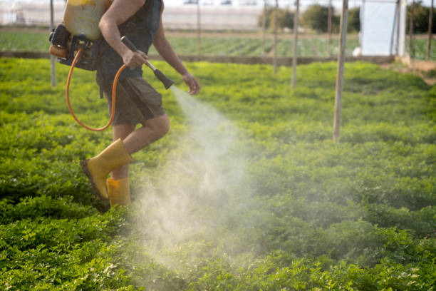 Best Best Pest Control Companies  in Silver Hill, MD