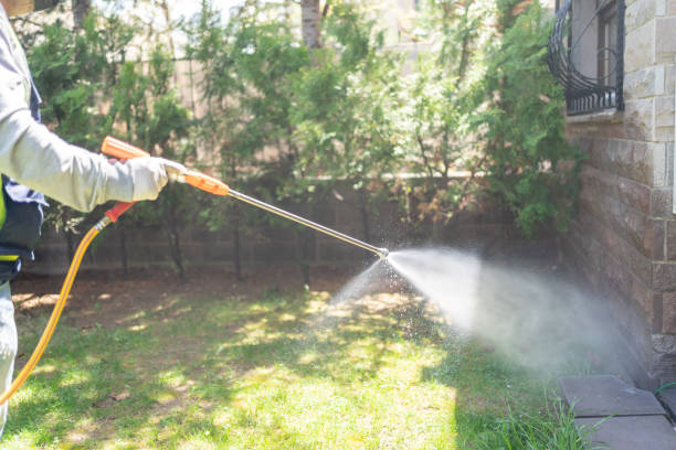 Best Cockroach Control Services  in Silver Hill, MD