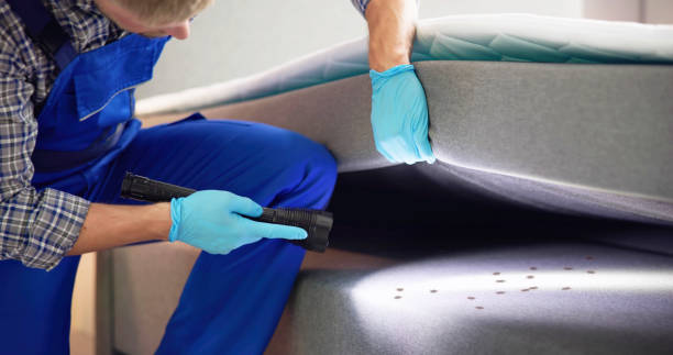 Best Pest Control Near Me  in Silver Hill, MD